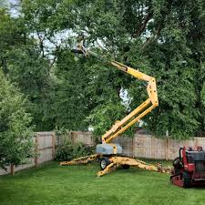 Best Arborist Consultation Services  in Selah, WA