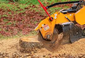 Best Aeration Services  in Selah, WA